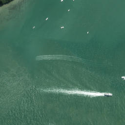 Satellite imagery of Point Erin, NZ