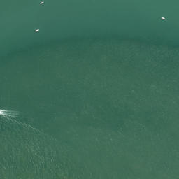 Satellite imagery of Point Erin, NZ