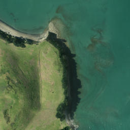 Satellite imagery of Musick Point, NZ
