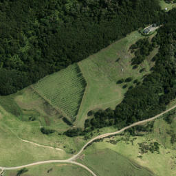 Satellite imagery of 954, NZ