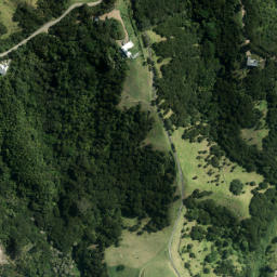 Satellite imagery of Finger Point, NZ