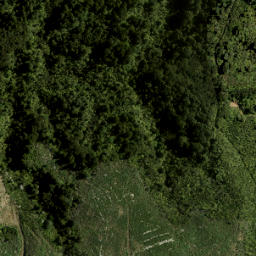 Satellite imagery of 4131, NZ