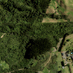 Satellite imagery of 4131, NZ