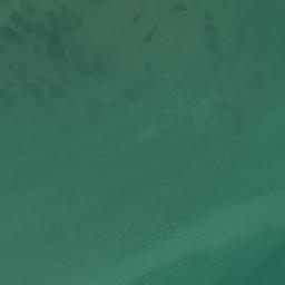 Satellite imagery of Boat Rock, NZ