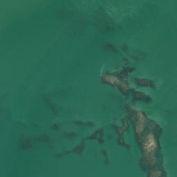 Satellite imagery of Boat Rock, NZ