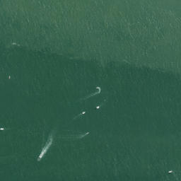 Satellite imagery of Point Erin, NZ
