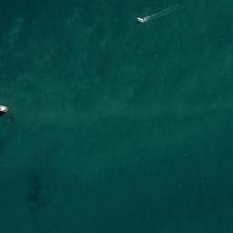 Satellite imagery of Bean Rocks, NZ