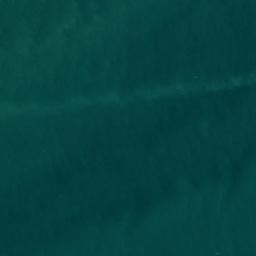 Satellite imagery of Bean Rocks, NZ