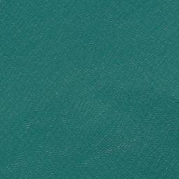 Satellite imagery of West Tamaki Head, NZ