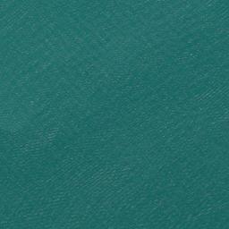 Satellite imagery of West Tamaki Head, NZ