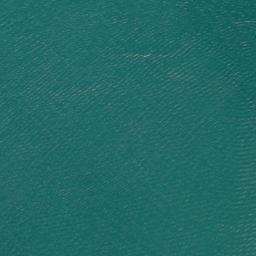 Satellite imagery of West Tamaki Head, NZ