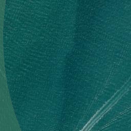 Satellite imagery of Musick Point, NZ