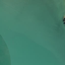Satellite imagery of Graveyard Point, NZ
