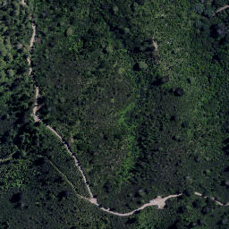 Satellite imagery of Hikurangi Point, NZ