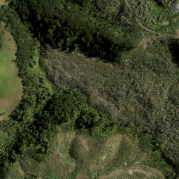 Satellite imagery of 4131, NZ