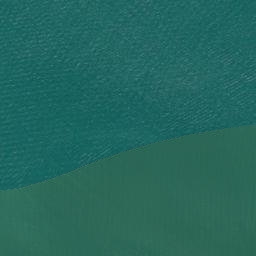Satellite imagery of West Tamaki Head, NZ