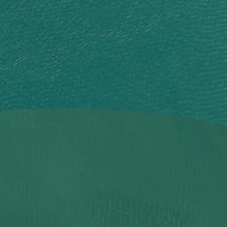 Satellite imagery of West Tamaki Head, NZ