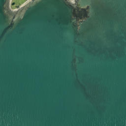 Satellite imagery of Musick Point, NZ