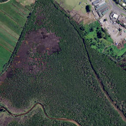 Satellite imagery of Treleases Point, NZ