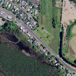 Satellite imagery of Treleases Point, NZ