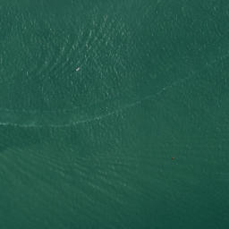 Satellite imagery of Hobson Point, NZ