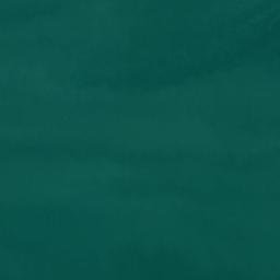 Satellite imagery of Pipimea Head, NZ