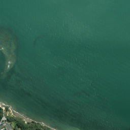 Satellite imagery of West Tamaki Head, NZ
