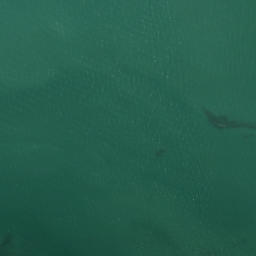 Satellite imagery of West Tamaki Head, NZ