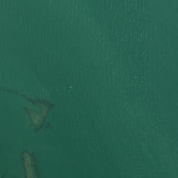 Satellite imagery of West Tamaki Head, NZ