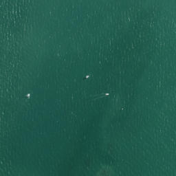 Satellite imagery of Musick Point, NZ