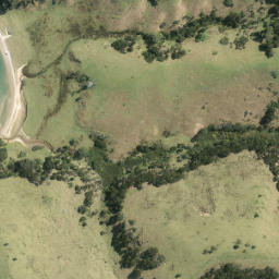 Satellite imagery of Ponui Head, NZ