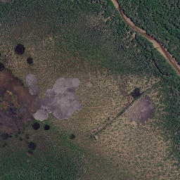 Satellite imagery of Treleases Point, NZ