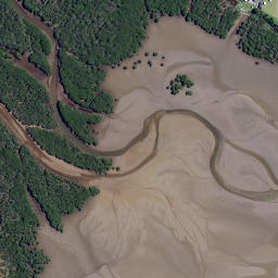 Satellite imagery of Treleases Point, NZ