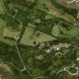Satellite imagery of 1455, NZ