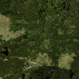 Satellite imagery of 1455, NZ