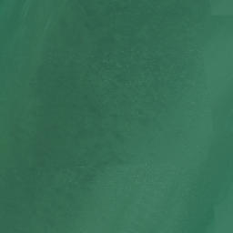 Satellite imagery of Point Chevalier, NZ