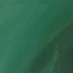 Satellite imagery of Point Chevalier, NZ