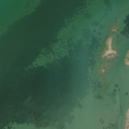Satellite imagery of Point Chevalier, NZ