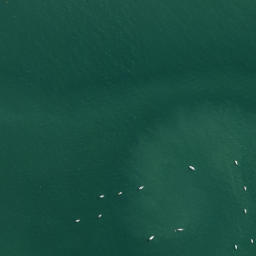 Satellite imagery of Hobson Point, NZ