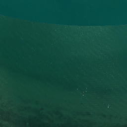 Satellite imagery of Gower Point, NZ