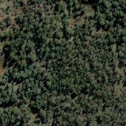Satellite imagery of Mount Wombat, AU