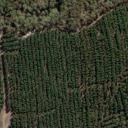 Satellite imagery of Mount Barranhet, AU