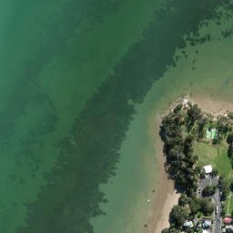 Satellite imagery of Point Chevalier, NZ