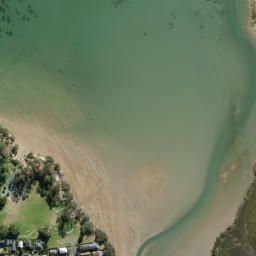 Satellite imagery of Point Chevalier, NZ