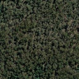 Satellite imagery of Mount Wombat, AU