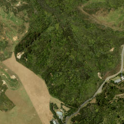 Satellite imagery of Te Waharoa Point, NZ