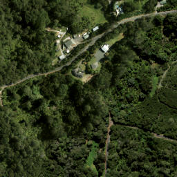 Satellite imagery of L SWANSON, NZ