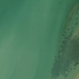 Satellite imagery of Point Chevalier, NZ