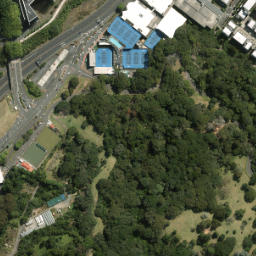 Satellite imagery of Ewelme Cottage, NZ