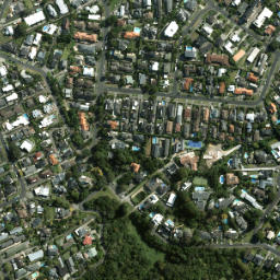 Satellite imagery of Gower Point, NZ